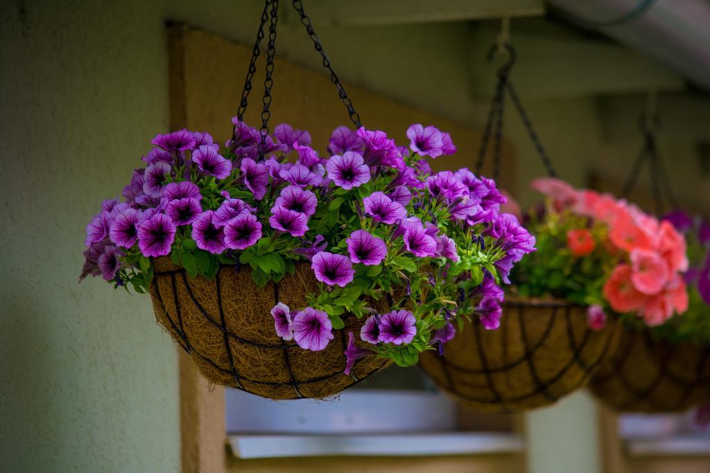 Guest House A'Storia ルマ エクステリア 写真